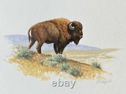 David Chapple NFL Football Yellowstone Buffalo Bison Signed Watercolor Painting