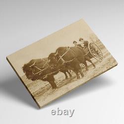 Early 1900s Bison Buffalo Cart Western Americana Cowboy Sepia Canvas Wrap Print