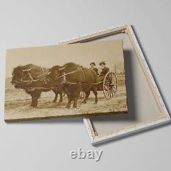 Early 1900s Bison Buffalo Cart Western Americana Cowboy Sepia Canvas Wrap Print