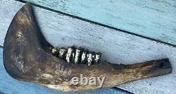 Engraved Jaw Bone Scrimshaw Possible Bison