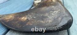 Engraved Jaw Bone Scrimshaw Possible Bison