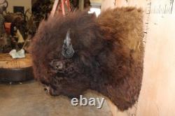 FHBRENT1 XXL BISON Shoulder Mount Taken in the Northwest Territory (Canada)