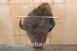 FHBRENT1 XXL BISON Shoulder Mount Taken in the Northwest Territory (Canada)