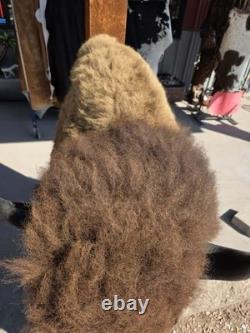 FHMN20 Gorgeous Mounted Buffalo / Bison Taxidermy Head Shoulder Mount