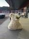 Faux Reproduction Buffalo / Bison Shoulder Taxidermy Mount  Fa748