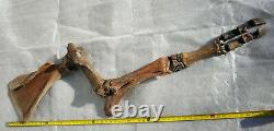 Fossil Bison antiquus Bones Right Front Leg Pleistocene Ice Age Buffalo