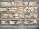Fossilized BISON TEETH