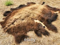 Fresh Tanned Wild Montana Yellowstone Bison Buffalo Robe Blanket Leather Antler