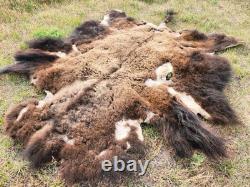 Fresh Tanned Wild Montana Yellowstone Bison Buffalo Robe Blanket Leather Antler