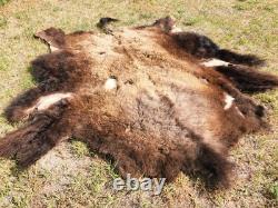 Fresh Tanned Wild Montana Yellowstone Bison Buffalo Robe Blanket Leather Antler