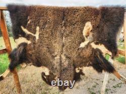 Fresh Tanned Wild Montana Yellowstone Bison Buffalo Robe Blanket Leather Antler