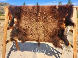 Fresh Tanned Wild Montana Yellowstone Bison Buffalo Robe Blanket Leather Antler