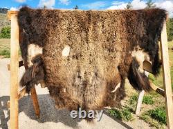 Fresh Tanned Wild Montana Yellowstone Bison Buffalo Robe Blanket Leather Antler
