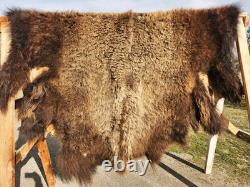 Fresh Tanned Wild Montana Yellowstone Bison Buffalo Robe Blanket Leather Antler