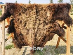 Fresh Tanned Wild Montana Yellowstone Bison Buffalo Robe Blanket Leather Antler