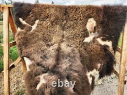 Fresh Tanned Wild Montana Yellowstone Bison Buffalo Robe Blanket Leather Antler