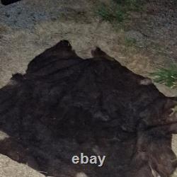 Fresh Tanned Wild Montana Yellowstone Bison Buffalo Robe Blanket Leather Antler