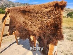 Fresh Tanned Wild Montana Yellowstone Bison Buffalo Robe Blanket Leather Antler