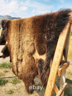 Fresh Tanned Wild Montana Yellowstone Bison Buffalo Robe Blanket Leather Antler