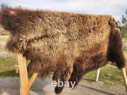 Fresh Tanned Wild Montana Yellowstone Bison Buffalo Robe Blanket Leather Antler