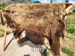 Fresh Tanned Wild Montana Yellowstone Bison Buffalo Robe Blanket Leather Antler