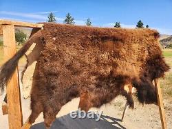 Fresh Tanned Wild Montana Yellowstone Bison Buffalo Robe Blanket Leather Antler