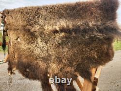 Fresh Tanned Wild Montana Yellowstone Bison Buffalo Robe Blanket Leather Antler