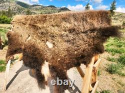 Fresh Tanned Wild Montana Yellowstone Bison Buffalo Robe Blanket Leather Antler