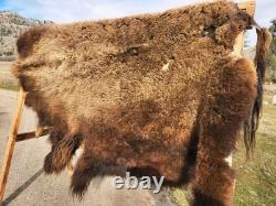 Fresh Tanned Wild Montana Yellowstone Bison Buffalo Robe Blanket Leather Antler