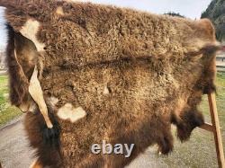 Fresh Tanned Wild Montana Yellowstone Bison Buffalo Robe Blanket Leather Antler