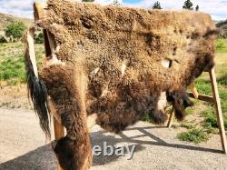 Fresh Tanned Wild Montana Yellowstone Bison Buffalo Robe Blanket Leather Antler