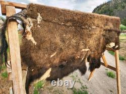 Fresh Tanned Wild Montana Yellowstone Bison Buffalo Robe Blanket Leather Antler