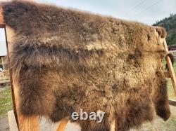 Fresh Tanned Wild Montana Yellowstone Bison Buffalo Robe Blanket Leather Antler