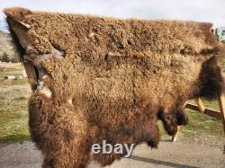 Fresh Tanned Wild Montana Yellowstone Bison Buffalo Robe Blanket Leather Antler