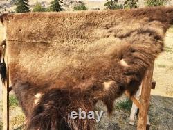 Fresh Tanned Wild Montana Yellowstone Bison Buffalo Robe Blanket Leather Antler