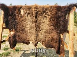 Fresh Tanned Wild Montana Yellowstone Bison Buffalo Robe Blanket Leather Antler