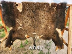 Fresh Tanned Wild Montana Yellowstone Bison Buffalo Robe Blanket Leather Antler