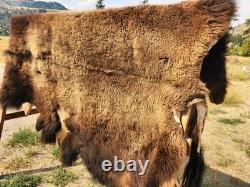 Fresh Tanned Wild Montana Yellowstone Bison Buffalo Robe Blanket Leather Antler