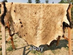 Fresh Tanned Wild Montana Yellowstone Bison Buffalo Robe Blanket Leather Antler