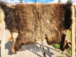Fresh Tanned Wild Montana Yellowstone Bison Buffalo Robe Blanket Leather Antler