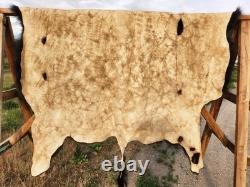 Fresh Tanned Wild Montana Yellowstone Bison Buffalo Robe Blanket Leather Antler