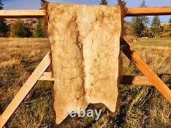 Fresh Tanned Wild Montana Yellowstone Bison Buffalo Robe Blanket Leather Antler