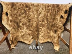 Fresh Tanned Wild Montana Yellowstone Bison Buffalo Robe Blanket Leather Antler