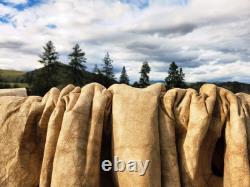 Fresh Tanned Wild Montana Yellowstone Bison Buffalo Robe Blanket Leather Antler