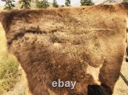 Fresh Tanned Wild Montana Yellowstone Bison Buffalo Robe Blanket Leather Antler
