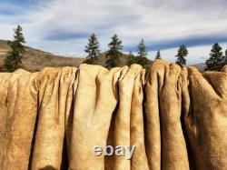 Fresh Tanned Wild Montana Yellowstone Bison Buffalo Robe Blanket Leather Antler