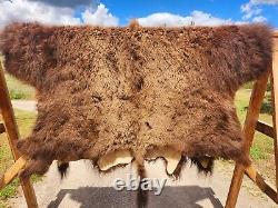 Fresh Tanned Wild Montana Yellowstone Bison Buffalo Robe Blanket Leather Antler