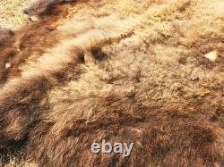 Fresh Tanned Wild Montana Yellowstone Bison Buffalo Robe Blanket Leather Antler