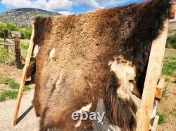 Fresh Tanned Wild Montana Yellowstone Bison Buffalo Robe Blanket Leather Antler