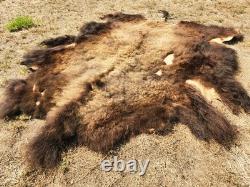 Fresh Tanned Wild Montana Yellowstone Bison Buffalo Robe Blanket Leather Antler